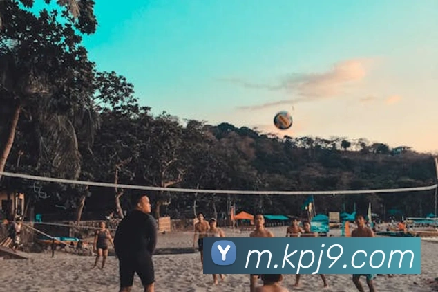 J9九游会平台生态图